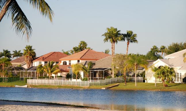 a house with a palm tree in front of a body of water